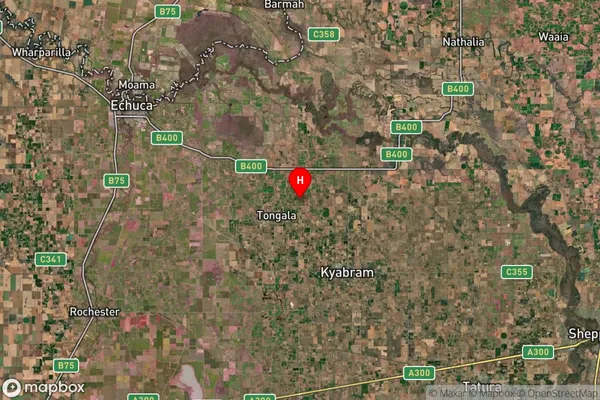 Koyuga South,Victoria Satellite Map