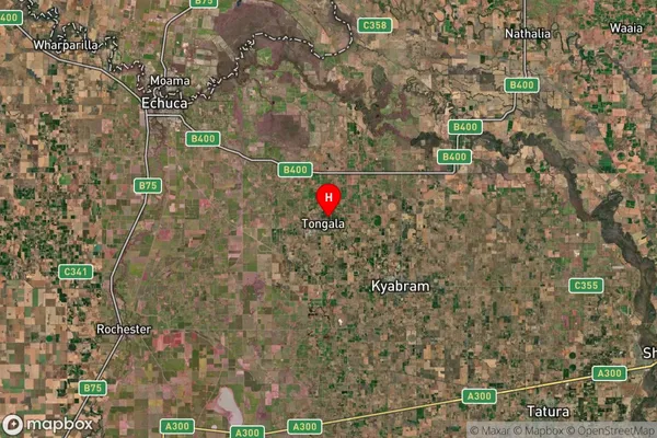 Tongala,Victoria Satellite Map