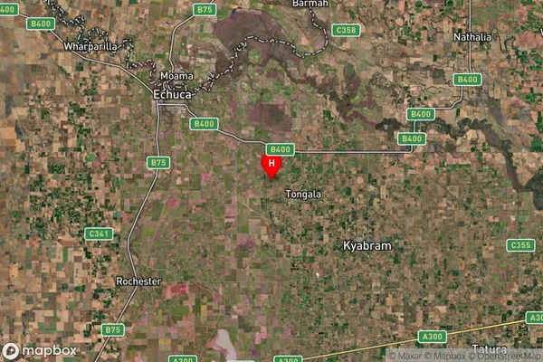 Koyuga,Victoria Satellite Map