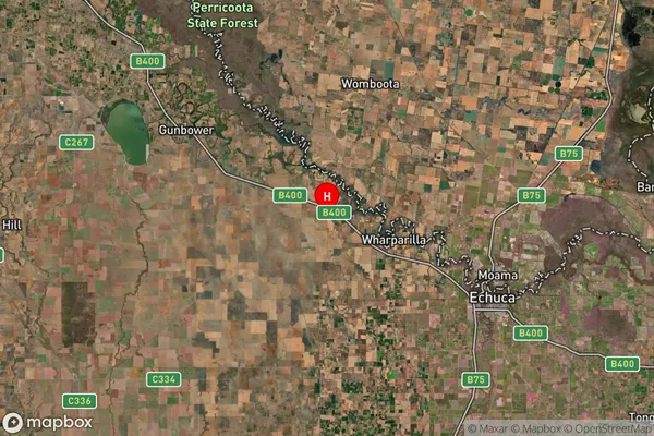 Torrumbarry,Victoria Satellite Map