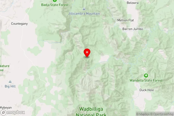 Wadbilliga,New South Wales Area Map