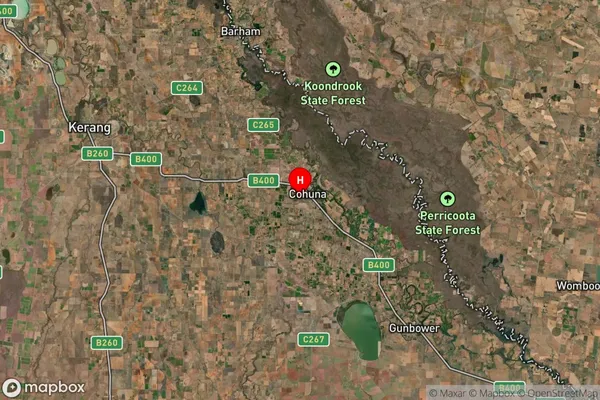 Cohuna,Victoria Satellite Map