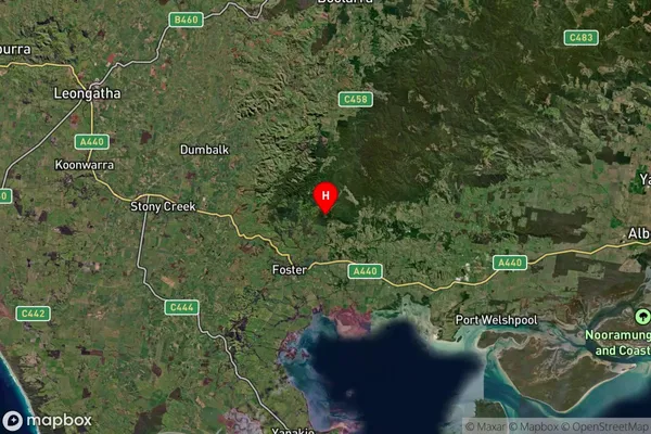 Wonga,Victoria Satellite Map