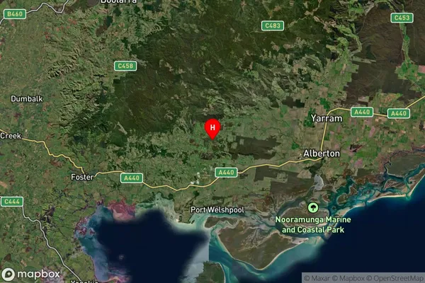 Binginwarri,Victoria Satellite Map