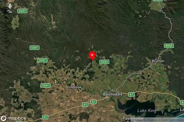 Merrijig,Victoria Satellite Map