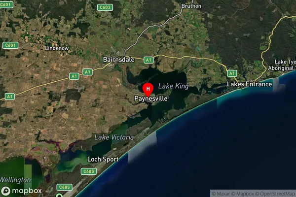 Paynesville,Victoria Satellite Map