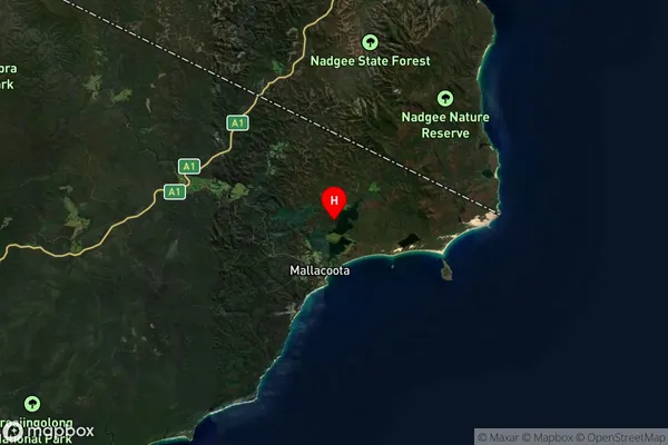 Mallacoota,Victoria Satellite Map