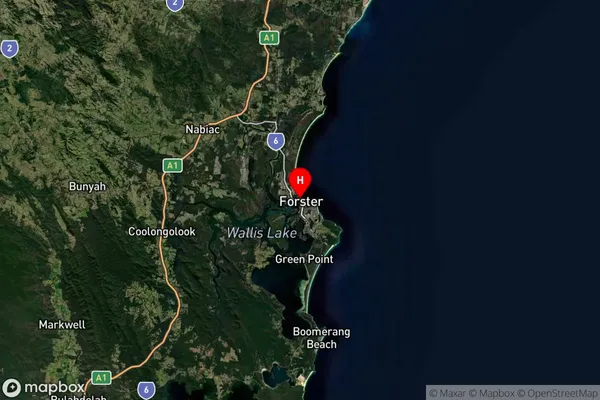 Forster,New South Wales Satellite Map