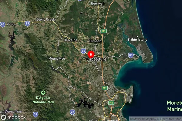 Bellmere,Queensland Satellite Map