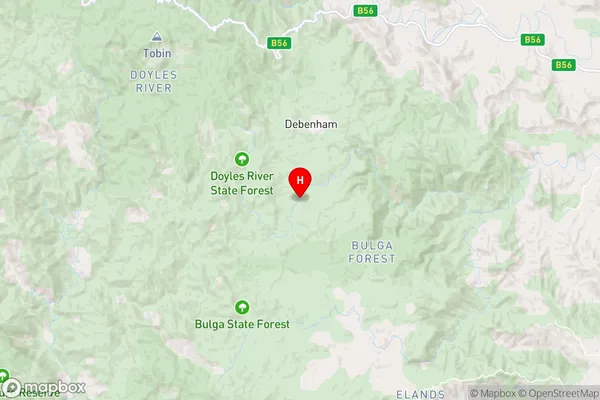 Bulga Forest,New South Wales Area Map