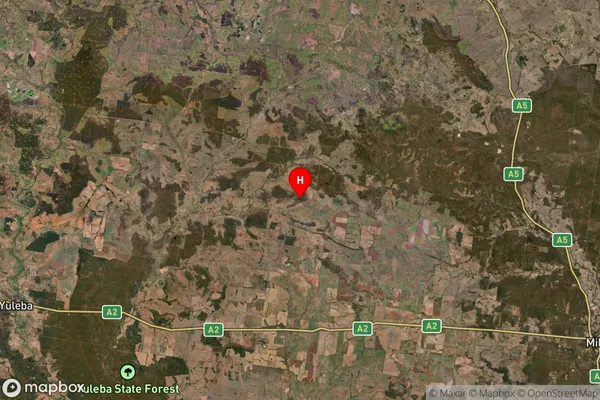 Bogandilla,Queensland Satellite Map