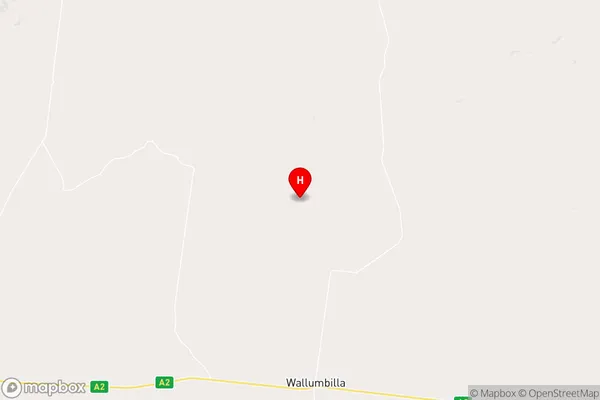 Wallumbilla North,Queensland Area Map