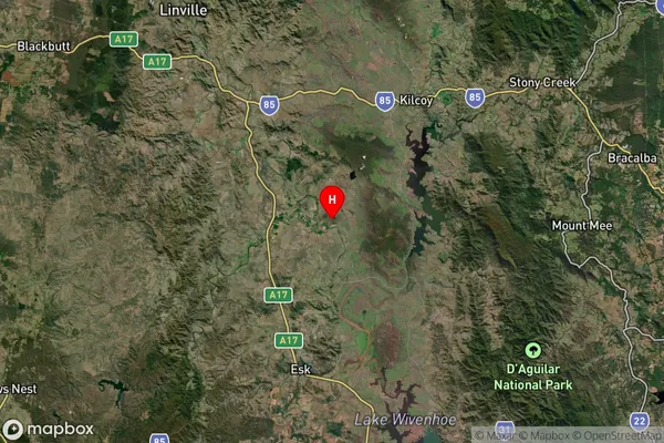 Lower Cressbrook,Queensland Satellite Map