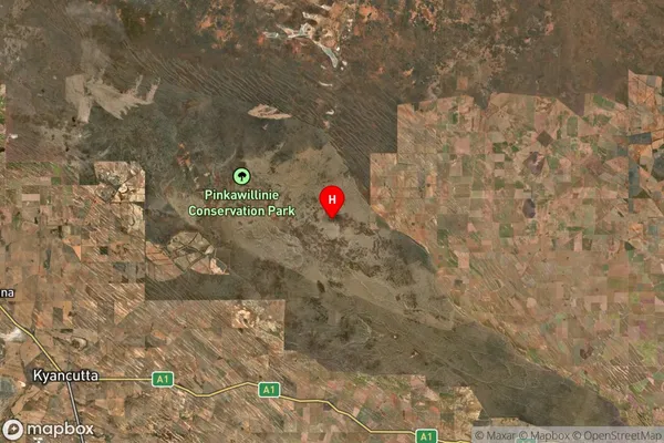 Pinkawillinie,South Australia Satellite Map