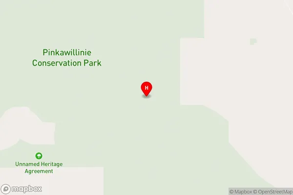 Pinkawillinie,South Australia Area Map