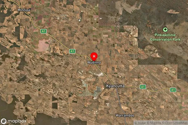 Wudinna,South Australia Satellite Map