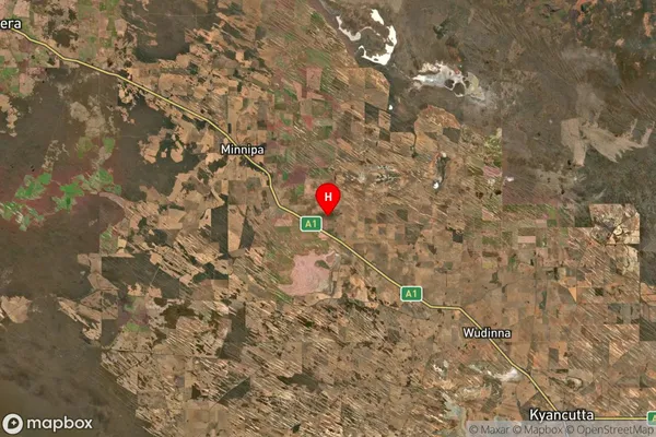 Yaninee,South Australia Satellite Map