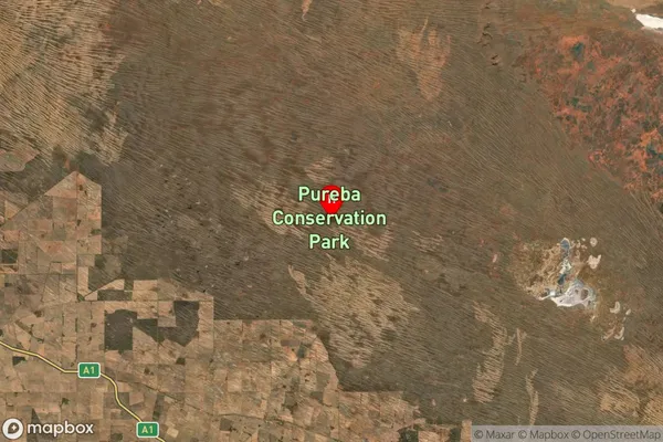 Pureba,South Australia Satellite Map