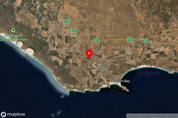 Coorabie,South Australia Satellite Map