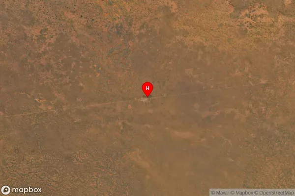 Cook,South Australia Satellite Map