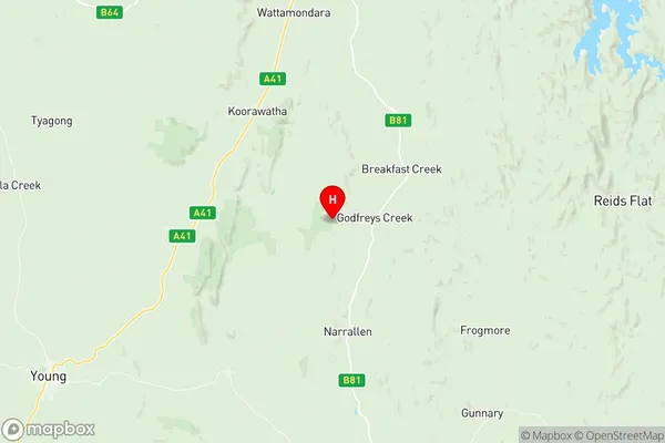 Young Region, New South Wales Region Map