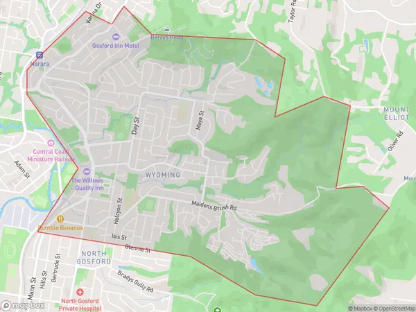 Wyoming, New South Wales Polygon Area Map