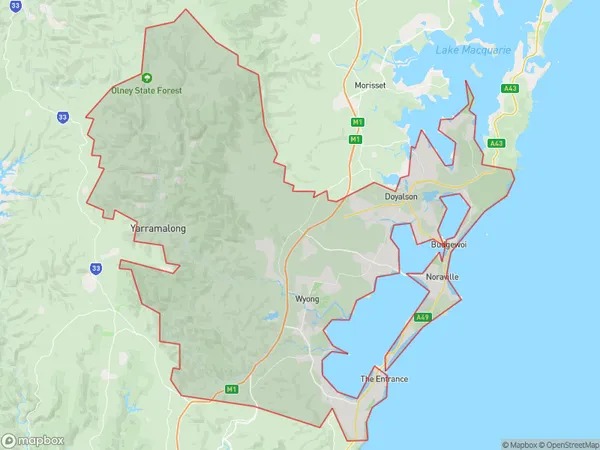 Wyong, New South Wales Polygon Area Map