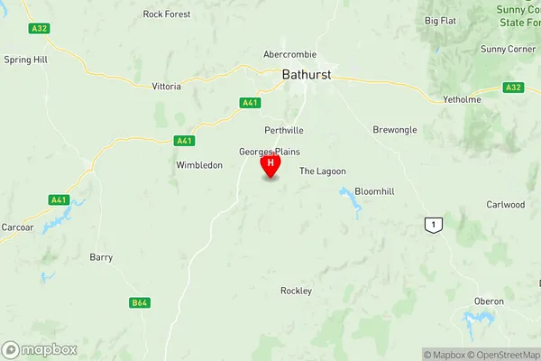 Bathurst Region, New South Wales Region Map