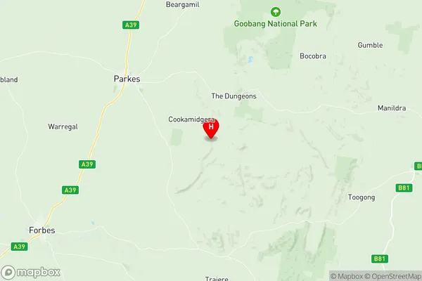 Parkes Region, New South Wales Region Map