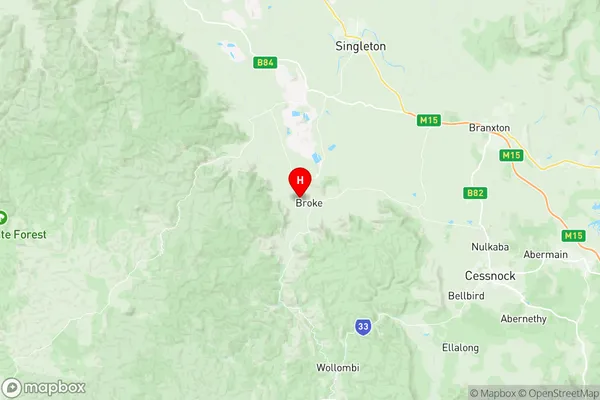 Singleton Region, New South Wales Region Map