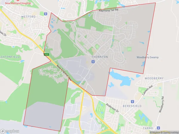 Thornton Millers Forest, New South Wales Polygon Area Map