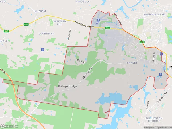 Rutherford (South) Telarah, New South Wales Polygon Area Map