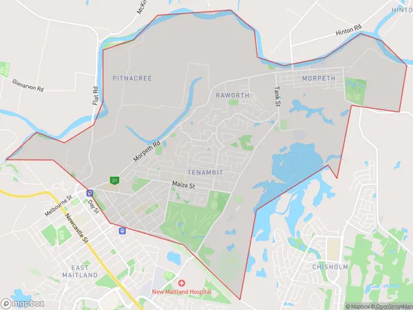 Tenambit East Maitland, New South Wales Polygon Area Map