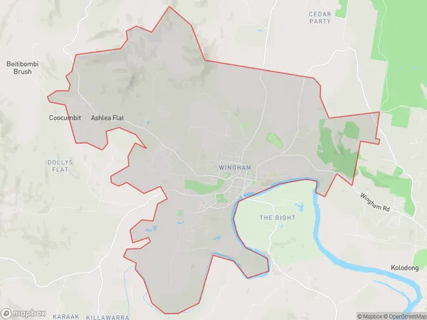 Wingham, New South Wales Polygon Area Map