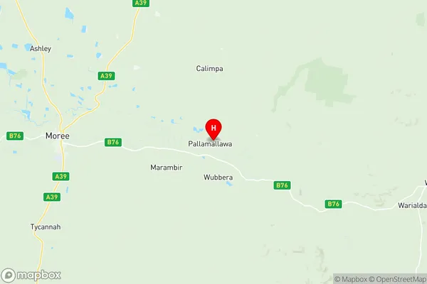 Moree Region, New South Wales Region Map