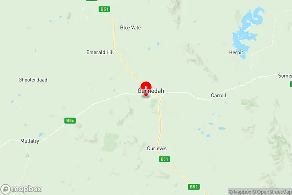 Gunnedah, New South Wales Region Map