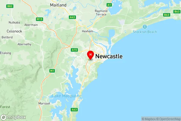 Adamstown Kotara, New South Wales Region Map