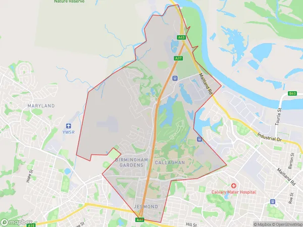 Shortland Jesmond, New South Wales Polygon Area Map