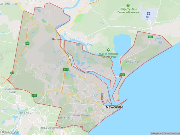 Newcastle, New South Wales Polygon Area Map