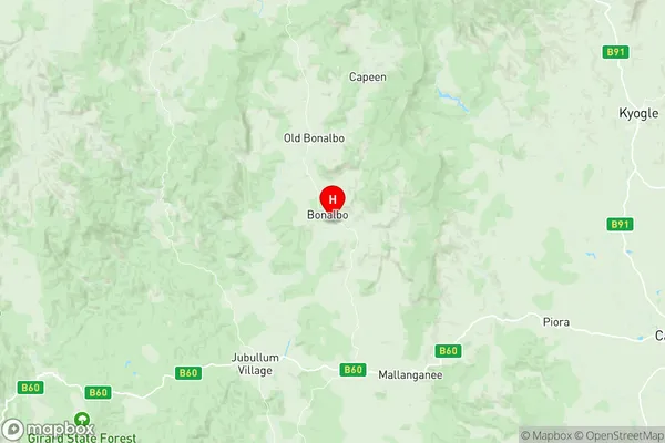Casino Region, New South Wales Region Map