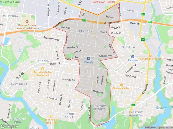 Revesby, New South Wales Polygon Area Map