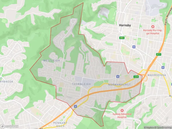 Normanhurst Thornleigh Westleigh, New South Wales Polygon Area Map