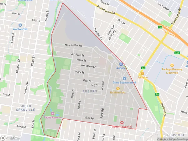 Auburn Central, New South Wales Polygon Area Map