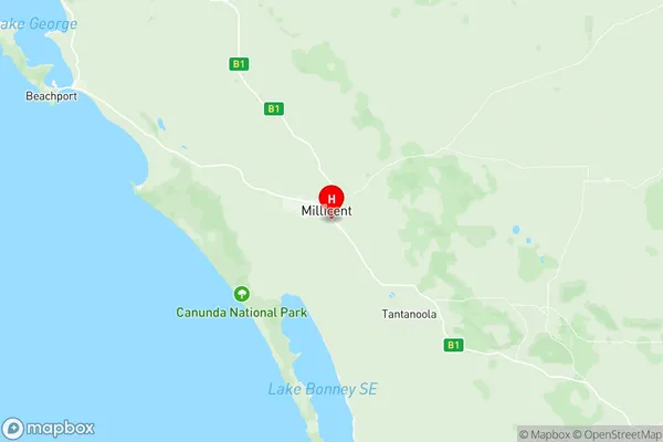 Millicent, South Australia Region Map