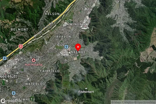 Naenae,Wellington Satellite Map