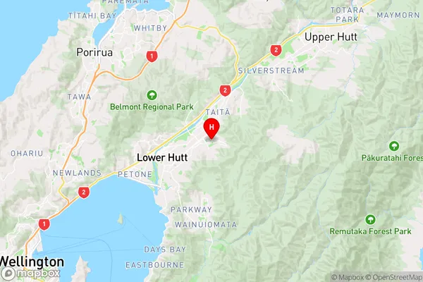 Naenae,Wellington Region Map