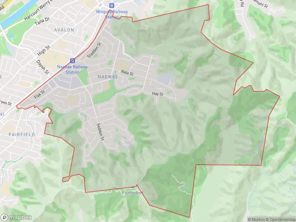 Naenae, Wellington Polygon Area Map