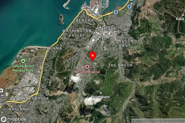 Nelson South,Nelson Satellite Map