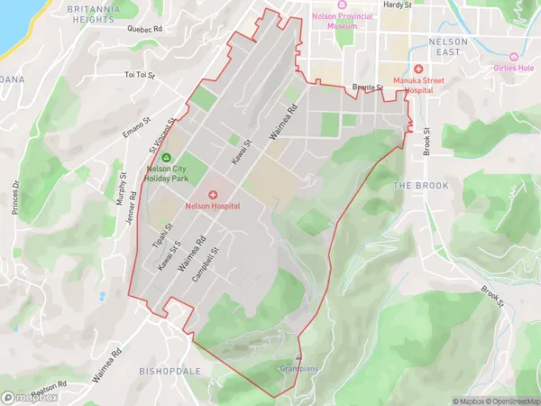 Nelson South, Nelson Polygon Area Map