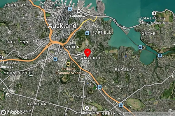 Newmarket,Auckland Satellite Map